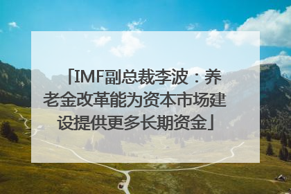 IMF副总裁李波：养老金改革能为资本市场建设提供更多长期资金