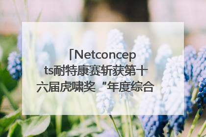 Netconcepts耐特康赛斩获第十六届虎啸奖“年度综合服务商”大奖