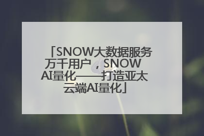 SNOW大数据服务万千用户，SNOW AI量化——打造亚太云端AI量化